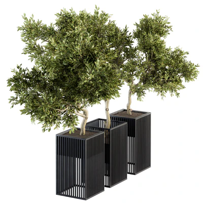 Outdoor Plants tree in Metal Pot - Set 134 — Ver 1