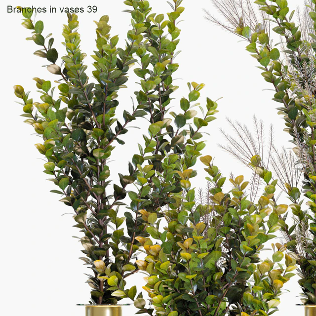 Branches in vases 39 — Descargar