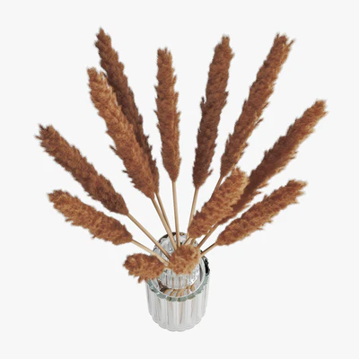 Pampas grass 05 — Ver 5