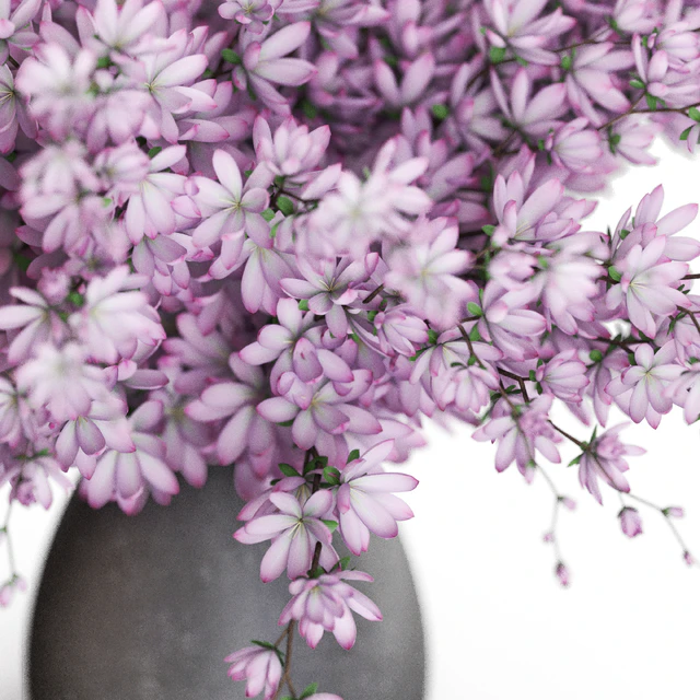 Bouquet 52 — Descargar