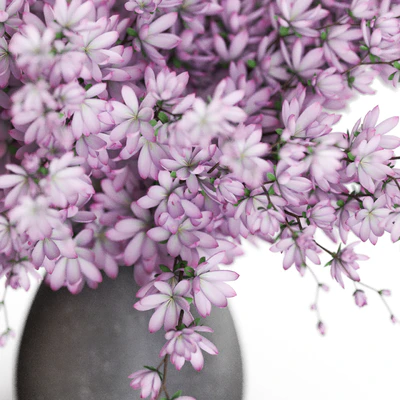 Bouquet 52 — Ver 4