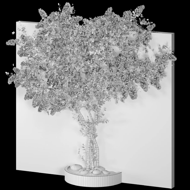 Bougainvillea plant 02 — Descargar