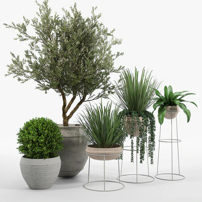 CB2 Set — Вид 1