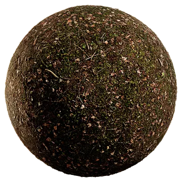 nordic forest ground moss leaves coarse 002 — Descargar