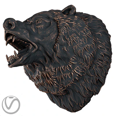 The head of a bear — Ver 2