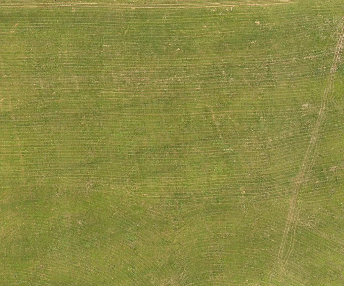 field summer 020 — Скачать