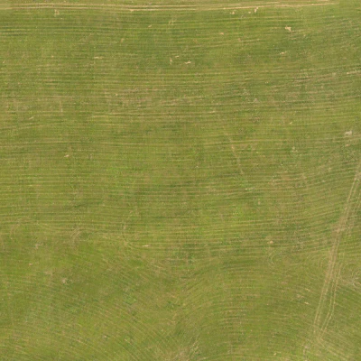 field summer 020 — Скачать