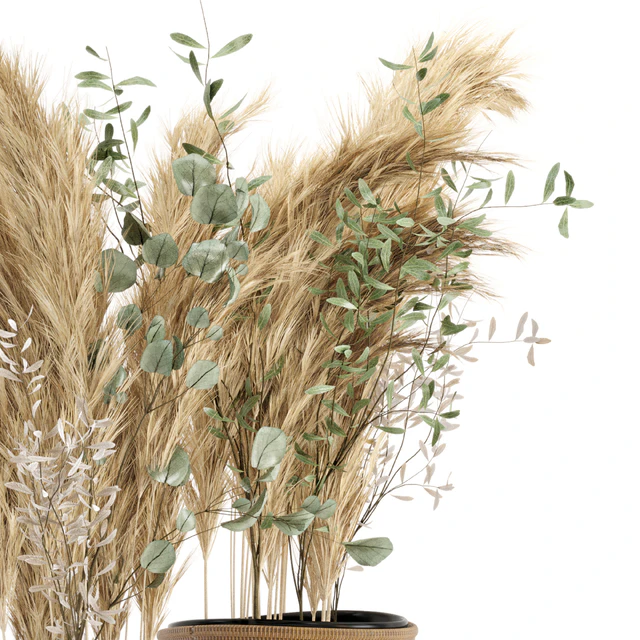 Dry plants 20 - Dried Plantset Pampas set with Wicker Basket — Descargar