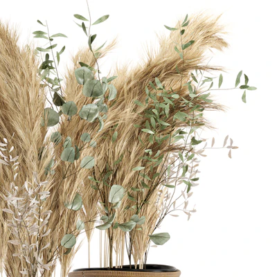 Dry plants 20 - Dried Plantset Pampas set with Wicker Basket — Ver 5