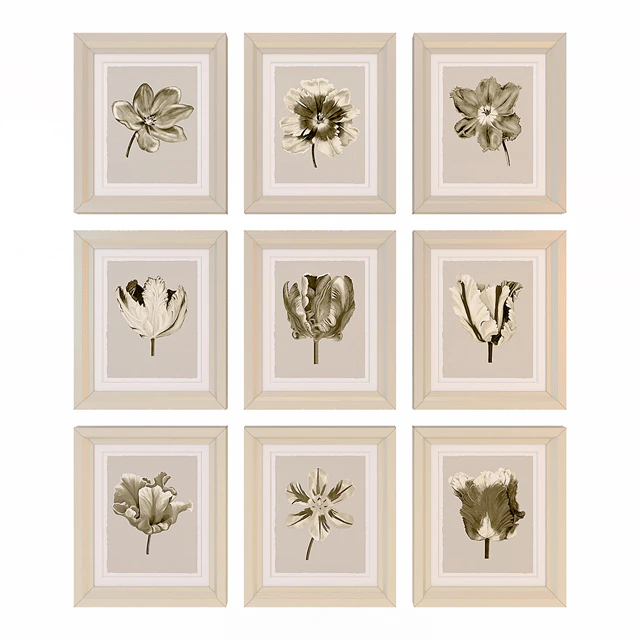 Charlotte Morgan Watercolour Tulips Sepia Nine Piece — Descargar