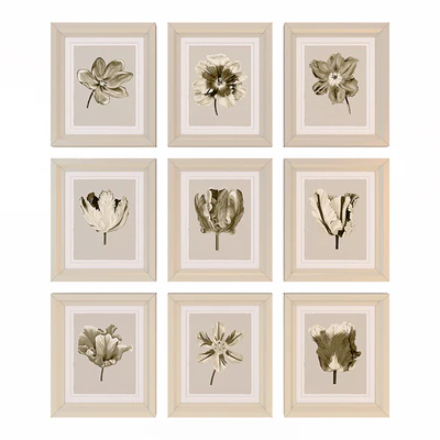 Charlotte Morgan Watercolour Tulips Sepia Nine Piece — Ver 1