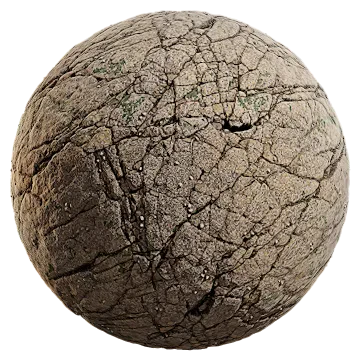 barnacle covered rock 001 — Скачать
