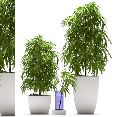 PLANTS 66 — Скачать