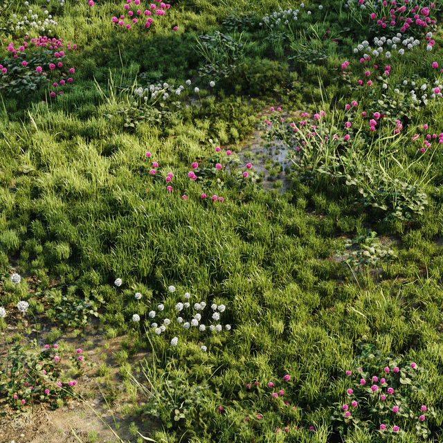 Meadow grass — Descargar