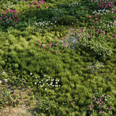 Meadow grass — Ver 4