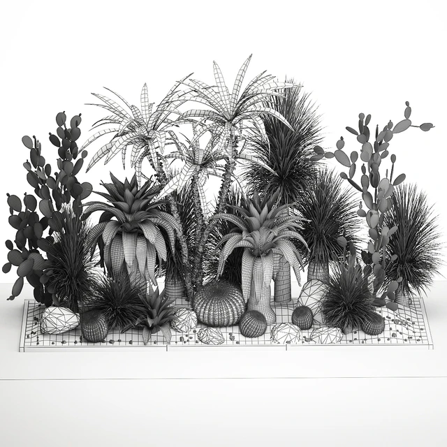 Collection of desert plants from cacti, Yucca and prickly pear, carnegie, Dracaena thickets, botanical garden. 1108. — Descargar