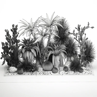 Collection of desert plants from cacti, Yucca and prickly pear, carnegie, Dracaena thickets, botanical garden. 1108. — Ver 6