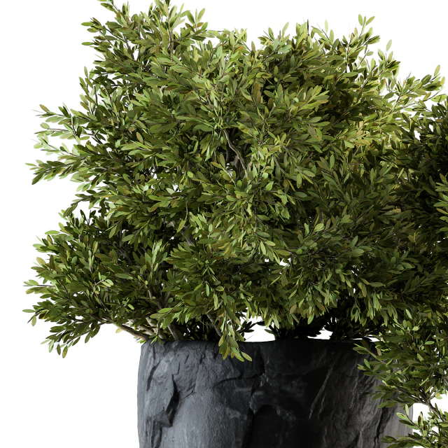 Outdoor Plants tree in Rock Pot - Set 136 — Скачать