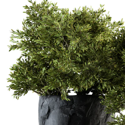 Outdoor Plants tree in Rock Pot - Set 136 — Вид 5