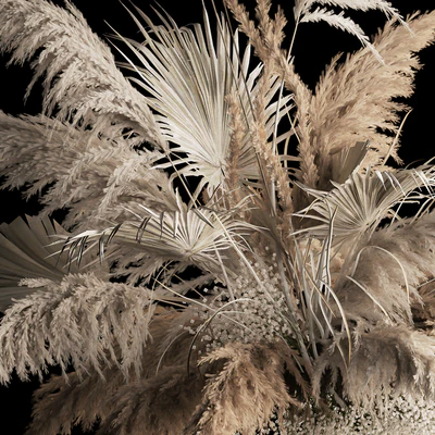 Installation suspension of white dried flowers, branches of pampas grass, dry reeds, wedding decor. 257. — Ver 4