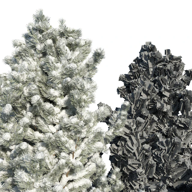 Pine trees in the snow — Descargar