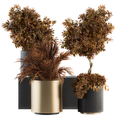 indoor Plant Set 91 - Black and Gold(Red Plant) — Вид 1