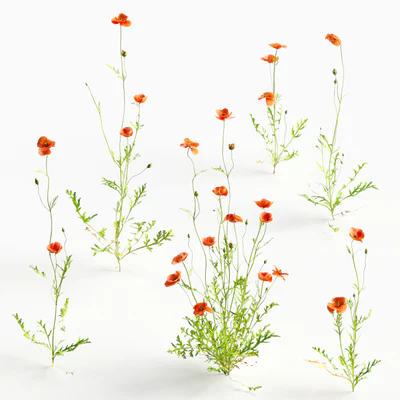 flowers and weeds 012 — Скачать