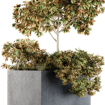 Outdoor Plants in Concrete Plant Box - Set 98 — Ver 3