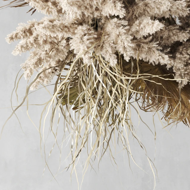 Pendant decor of Pampas grass and dried palm leaves — Descargar