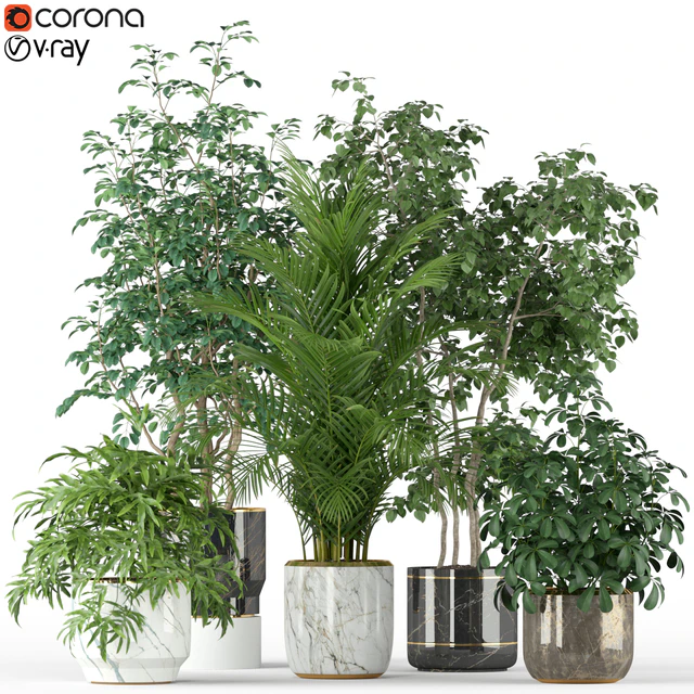 Plants collection 204 — Descargar