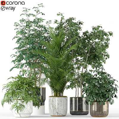 Plants collection 204 — Ver 1