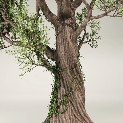 Olive Tree With Vines — Ver 6