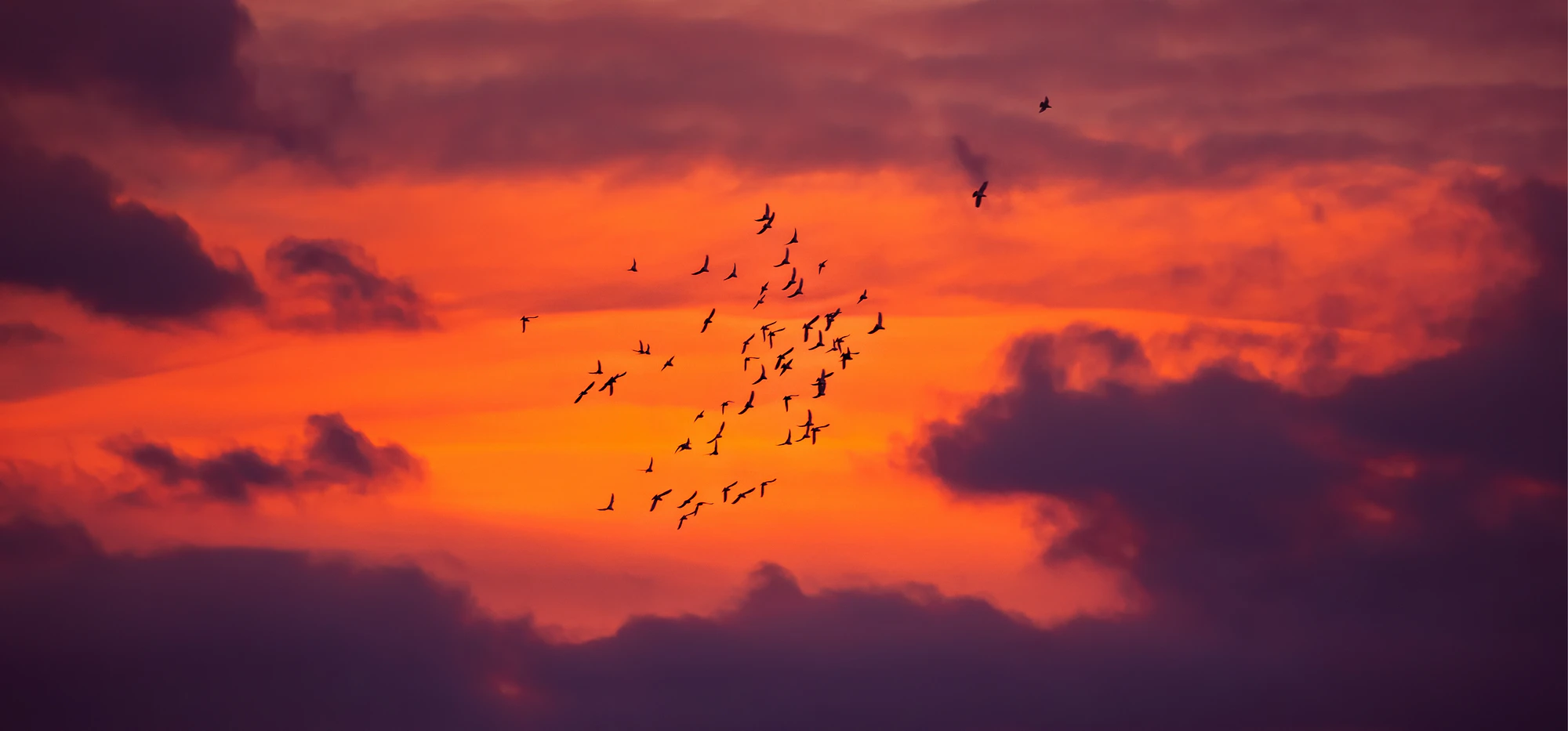 dramatic sky 015 — Descargar