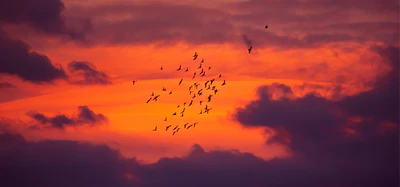 dramatic sky 015 — Descargar
