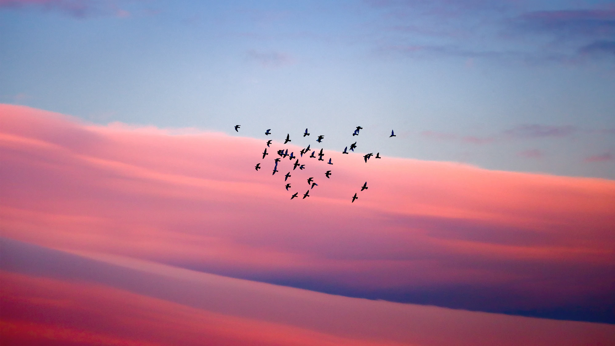 pink sky 012 — Скачать