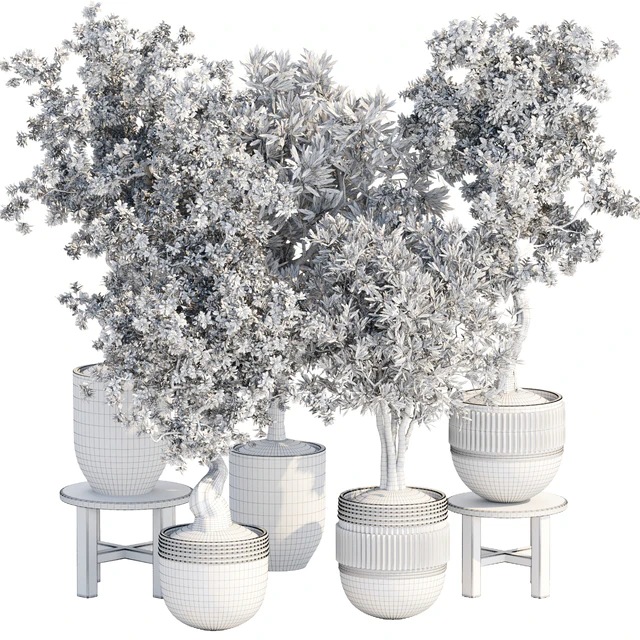 Indoor Plants collection vol 103 — Descargar