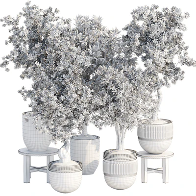 Indoor Plants collection vol 103 — Ver 3
