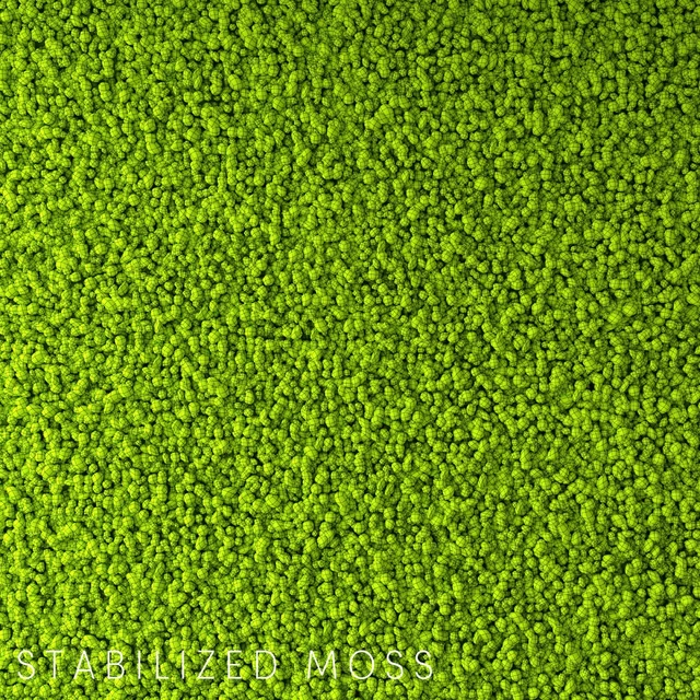 Stabilized Moss — Descargar