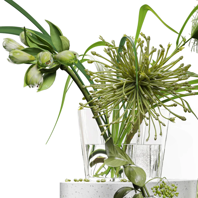 Decor set 047 with green plants AALTO VASE — Скачать