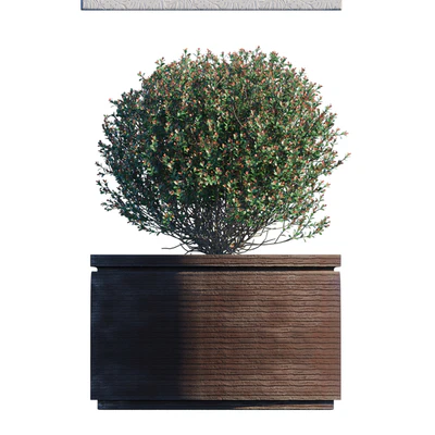 Outdoor set 15 — Вид 2