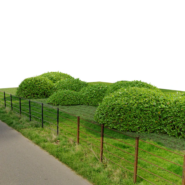 Green Ligustrum — Скачать