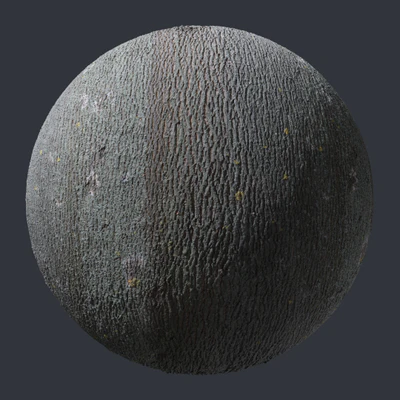 whiteash bark 001 — download