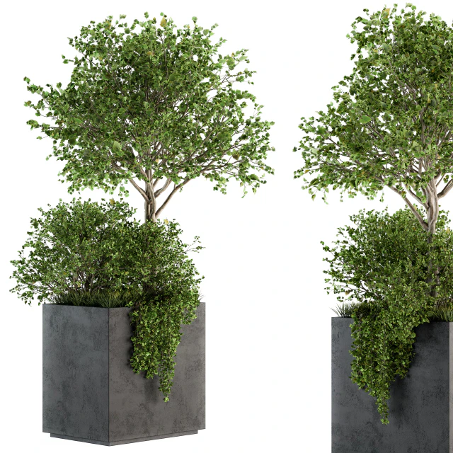 Outdoor Plants in Concrete Plant Box - Set 93 — Descargar