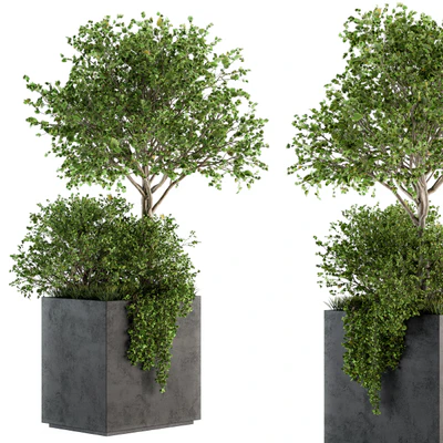 Outdoor Plants in Concrete Plant Box - Set 93 — Ver 1