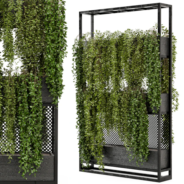 Indoor Hanging Plants in Metal Stand - Set 100 — Descargar