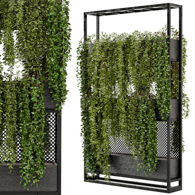Indoor Hanging Plants in Metal Stand - Set 100 — Ver 1