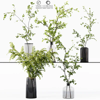 Collection Indoor Plants 015 — Ver 1