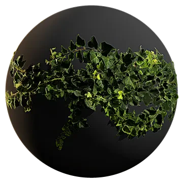 ivy 006 — Скачать