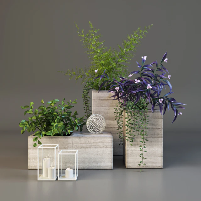 Decor set with plants — Скачать