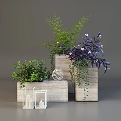 Decor set with plants — Вид 1